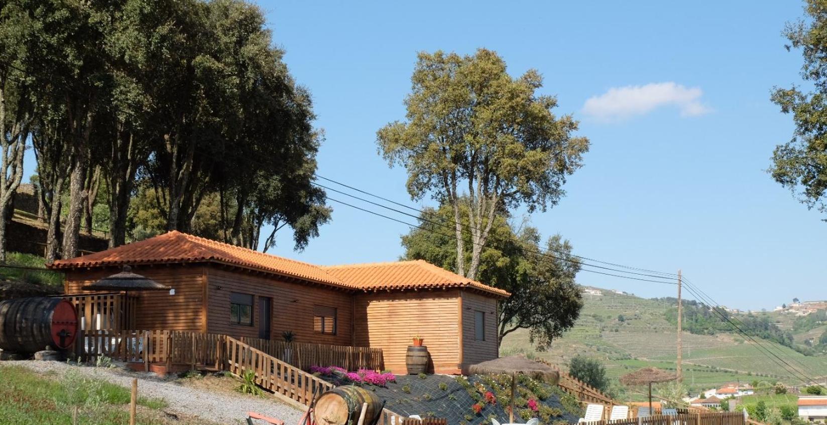 Quinta Da Bandeira - Casa De Ferias No Douro Villa Martir Екстериор снимка